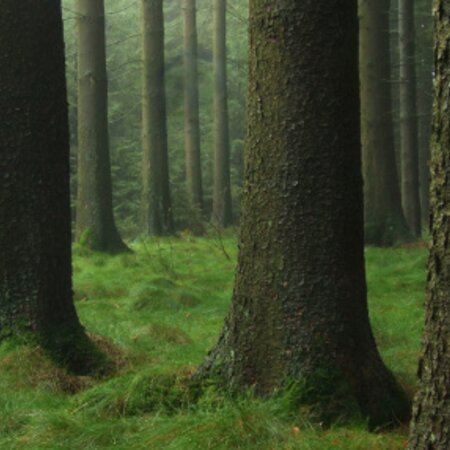 sustainability