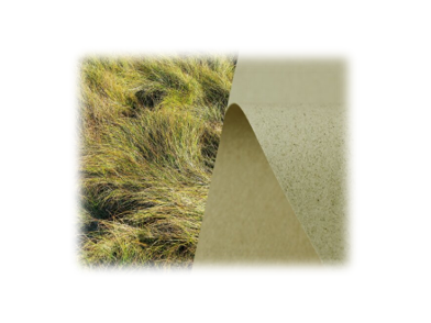 SH recycling grass 1