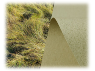 SH recycling grass 1