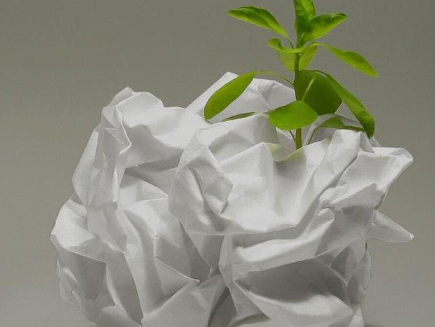 paper_and_plant