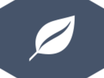 ico-sustainability